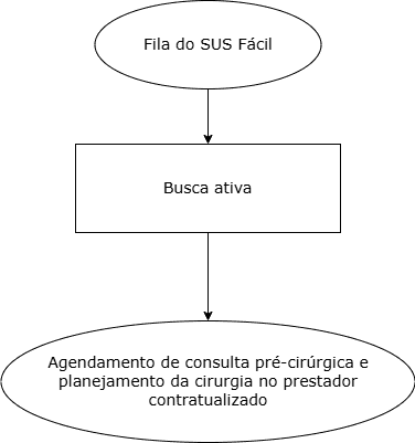 Fluxo Assistencial Cirurgia Geral